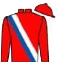 Silks for Pixel Pony