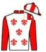 Silks for Jelly Bean Jet