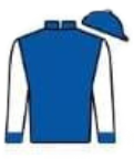 Silks for Turbo Teddy